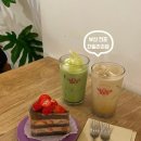 더빌리지 | 부산 전포 늦게까지 하는 카페 귀여운 고양이가 있는 더빌리지샵 추천 후기