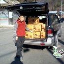 금성농약사 이미지