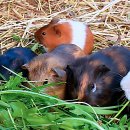 우리동네치과의원 | 왠지 맘에 쏙 들었던 우리 동네 최애 치과 등장!