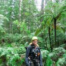 뉴질랜드 북섬 5 (헤리티지 팜투어 마오리민속마을 레드우드 수목원 스카이라인 곤돌라 이미지
