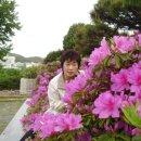 사랑하면 춤을 춰라 이미지