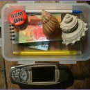 어린이대공원 제10호 이미지