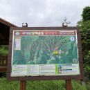 원주굽이길 원2코스 구학산둘레숲길 | 구학산 둘레숲길(2023.8.28)