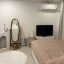 제주스럼 이미지