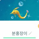 [포켓몬고] 보라색 이로치 진주몽 / 라프라스 / 딜리버드 잡기 성공!