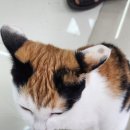 아이패밀리 안경콘택트 비하점 이미지