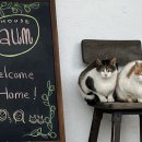 하우스 아움 이미지