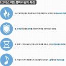 아그네스 이미지