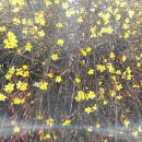 영도구청 이미지