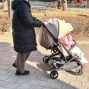 스케치 | 쌍둥이 절충형 유모차 추천 잉글레시나 뉴트윈스케치 샌드베이지 색상 후기