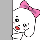 (주)핵산바이오 이미지