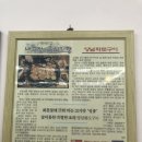 화미가