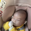 송파 아기 사진관 아이니 스튜디오 50일사진 후기