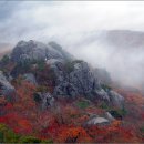 [17-39] 11월4일 합천 가야산 국립공원 단풍 산행 이미지