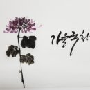 국화네공방 이미지