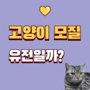 더찰리헤어 티스토리