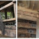 정자문화 이미지