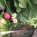 광준농장 이미지