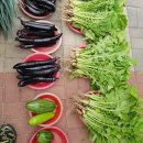 노다지농장 이미지