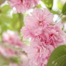 내서읍1140 이미지