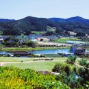 뽀빠이카센타 이미지