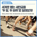 새만금공인중개사사무소 이미지