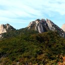 백운산장 티스토리