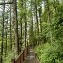 순직산업전사위령탑 이미지