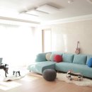헷세드 이미지