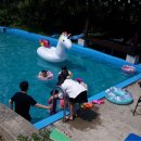 녹색향기 펜션 이미지