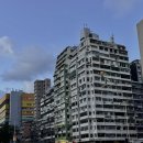 나는 식도락 전문가 이미지