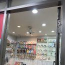 모모애견샵 이미지