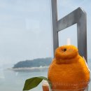 스킨앤바디가인