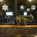 인물나개 이미지