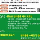 서부(군산시)건강생활지원센터 | 2026년 5월 13일 반려동물 뉴스 스크랩