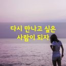 ❇치질도 합병증이 있다.➖욱신욱신&#34;두컥 두컥 &#34;귀에서 맥박소리가 난다&#34;. 🆘️시발노무색기(중국 고사성어) 이미지