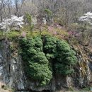 선운산농장 이미지