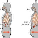 단전호흡(국선도) 이미지