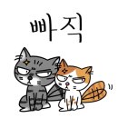 심쿵하냥 이미지