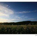 메밀꽃필무렵 이미지