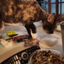 명장치과의원 | 9월 먹는 일기(4)