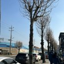 오늘도 감자탕에 만족한다 | 세종 부강면 감자탕 맛집 “진성민속촌 부강 본점” 내돈내산 후기