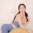 보떼로즈