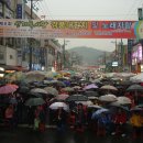 거북발전소 이미지