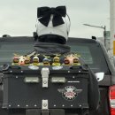 김기현정형외과의원 이미지