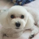 사랑우리 愛 동물병원 이미지