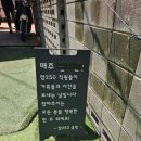 쌈250 이미지