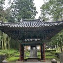 창대펜션 | 하동여행 2박3일 2일차 쌍계사/ 쌍계사맛집 쉬어가기좋은날 / 티카페하동 / 하동야생차박물관체험관...