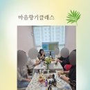 [전주 아로마테라피] 6월 마음향기 이너뷰티 클래스, 살루벨로 완성하는 방부제 광채 세럼 DIY 후기