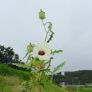 가서농장2 이미지